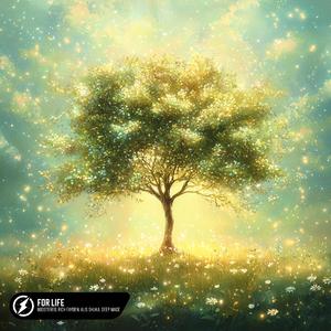 国产一级免费高清AV
