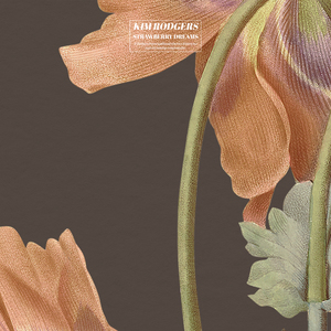 国产一级免费高清AV
